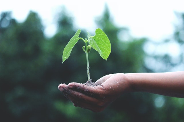 On Earth Day ADM commits to achieve 100% deforestation-free supply chains
