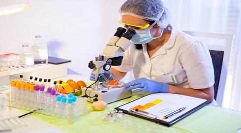 Australia explores food as computational artefact