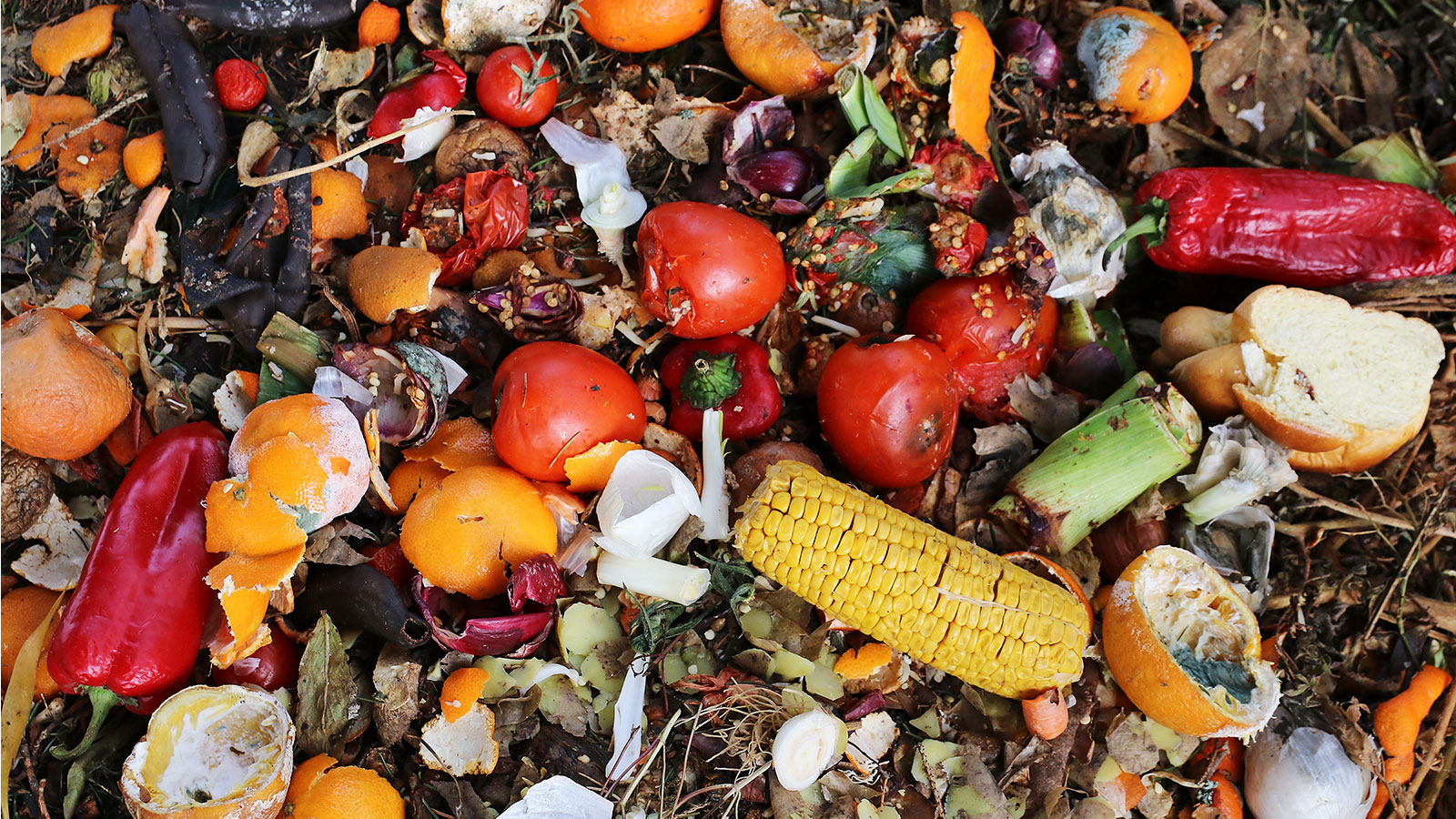 UAE’s jalebi.io and Olive Gaea partners to combat global food waste