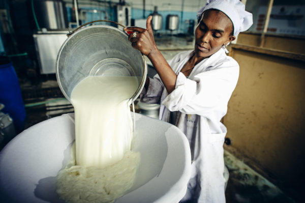 World-first Haelen technology achieves 100% fresh, natural milk that is twice as digestible