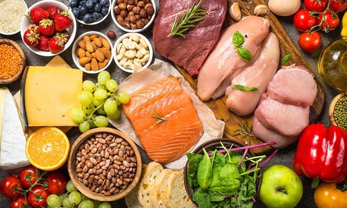 Givaudan and Berkeley publish new research providing for alternative proteins