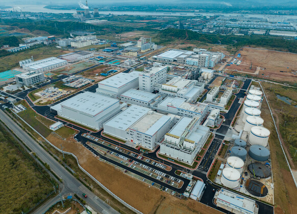 China-based food company Angel Yeast beefs up supply and innovation capabilities