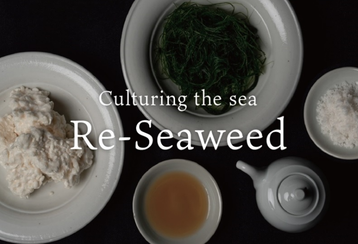 Japan's Sea Vegetable Company unlocks applications of seaweed as food ingredient