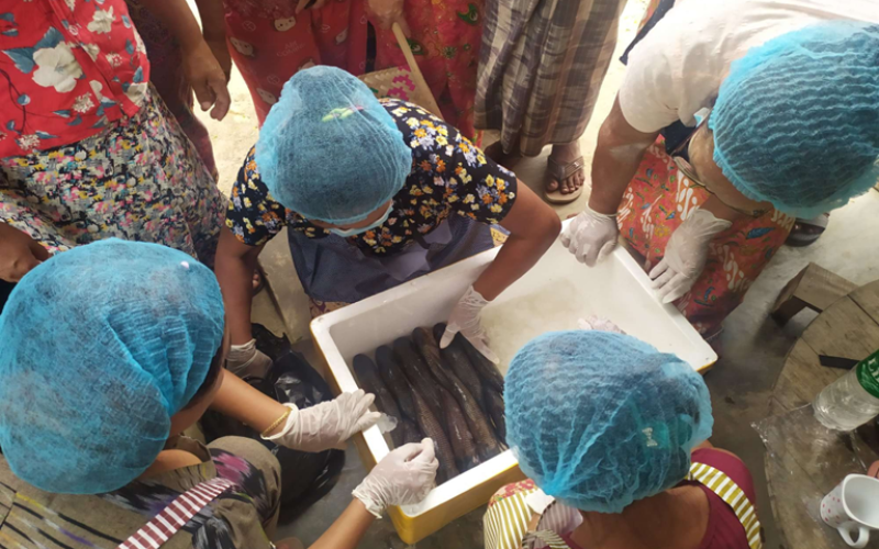 Science-driven policy change to restore healthy fish stocks in Myanmar