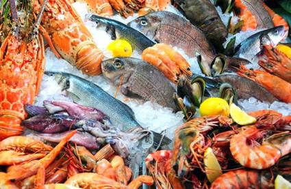 Japan’s seafood exports to China tumbles by 33% in July due to radioactivity inspections