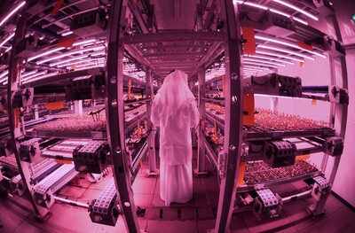 UAE’s Food Tech Valley aims to transform country into global hub for food technology