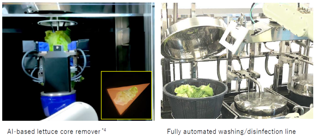 Japan’s Spread develops long-life cut lettuce through techno fresh method