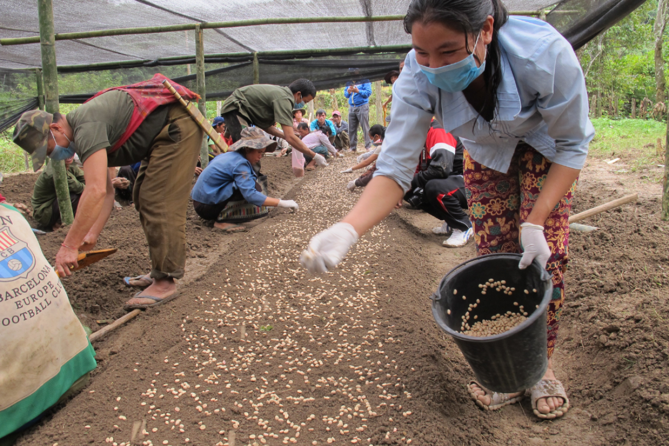 ADB supports Lao's response to food security challenges