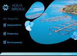Aqua Bridge and Enertech launch Aqua Bridge Kuwait to boost local food systems 