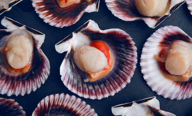 New Zealand Food Safety issues shellfish biotoxin alert