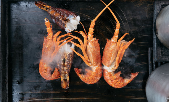 South Australia exports 400 tonnes of lobster to China