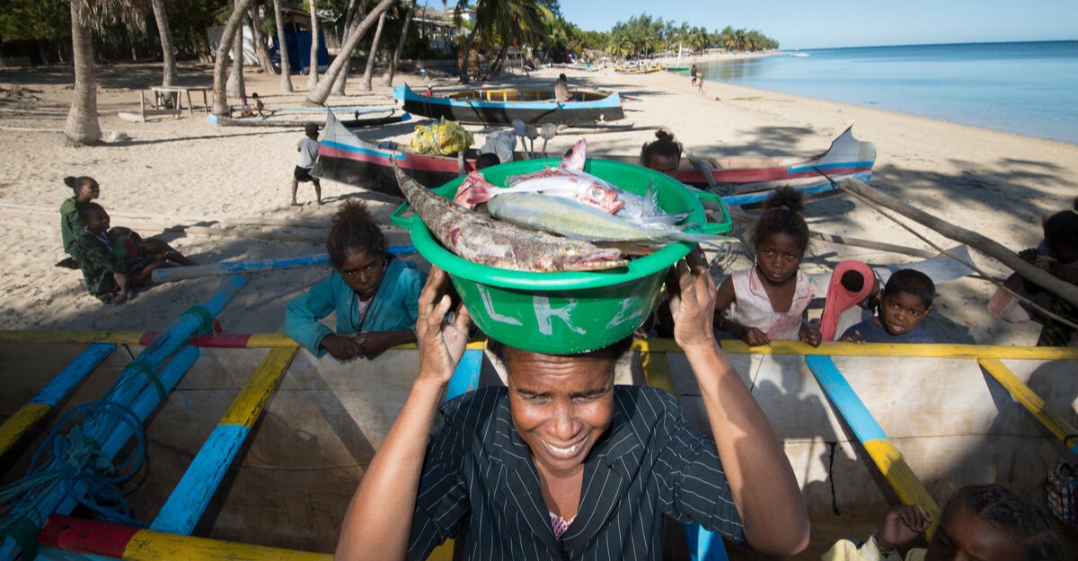 New global fisheries management body focuses on sustainable practices in fisheries
