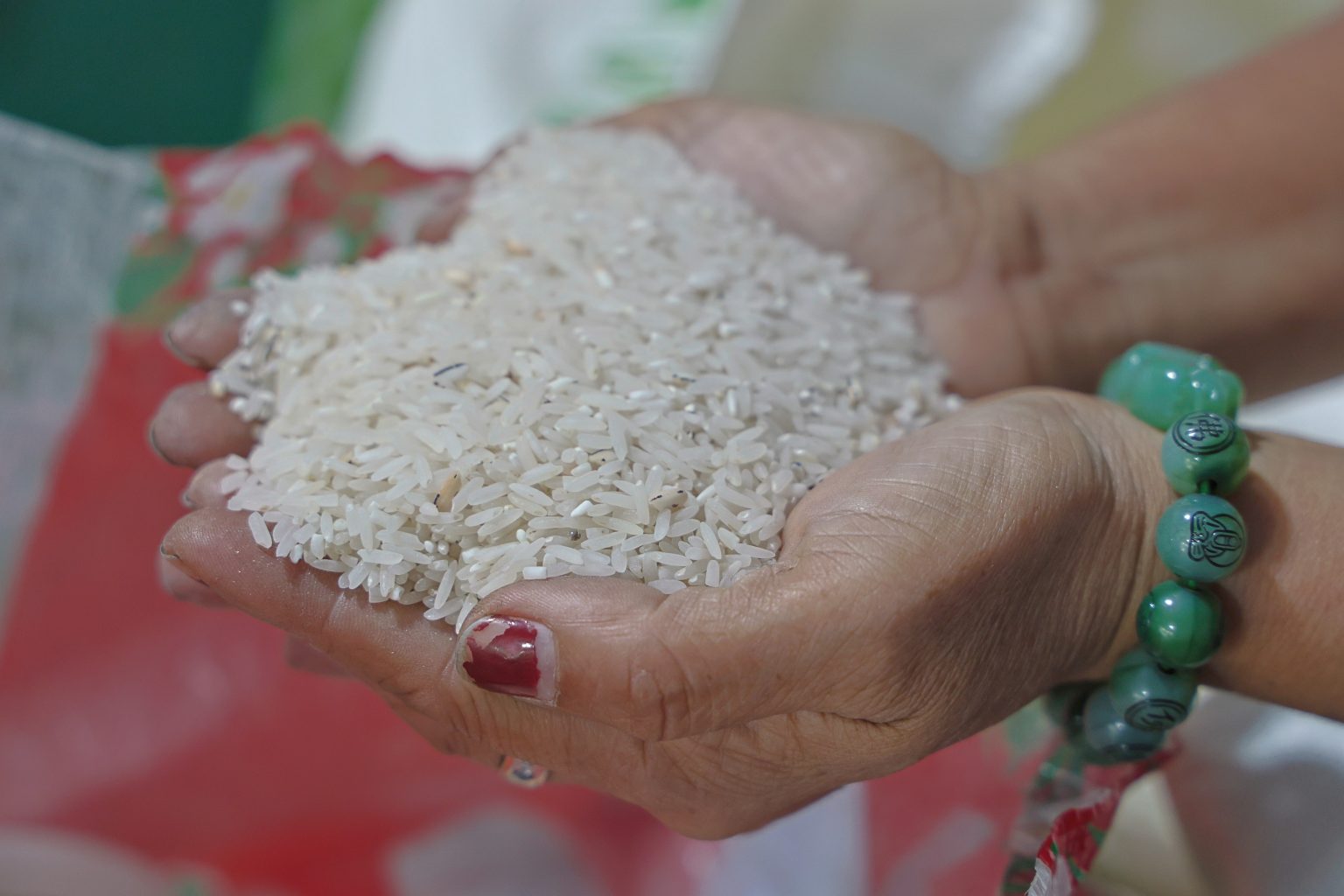 Philippines to distribute rice instead of cash grants to poor Pinoys