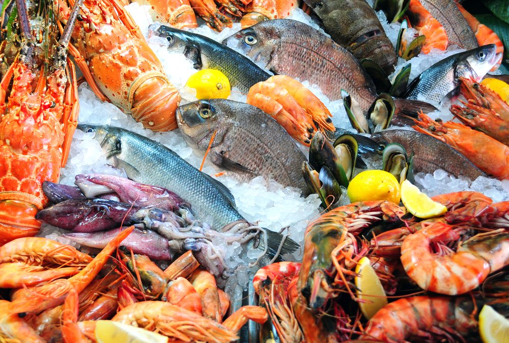 EU-Thailand FTA incorporates measures to improve sustainability of seafood: MAC