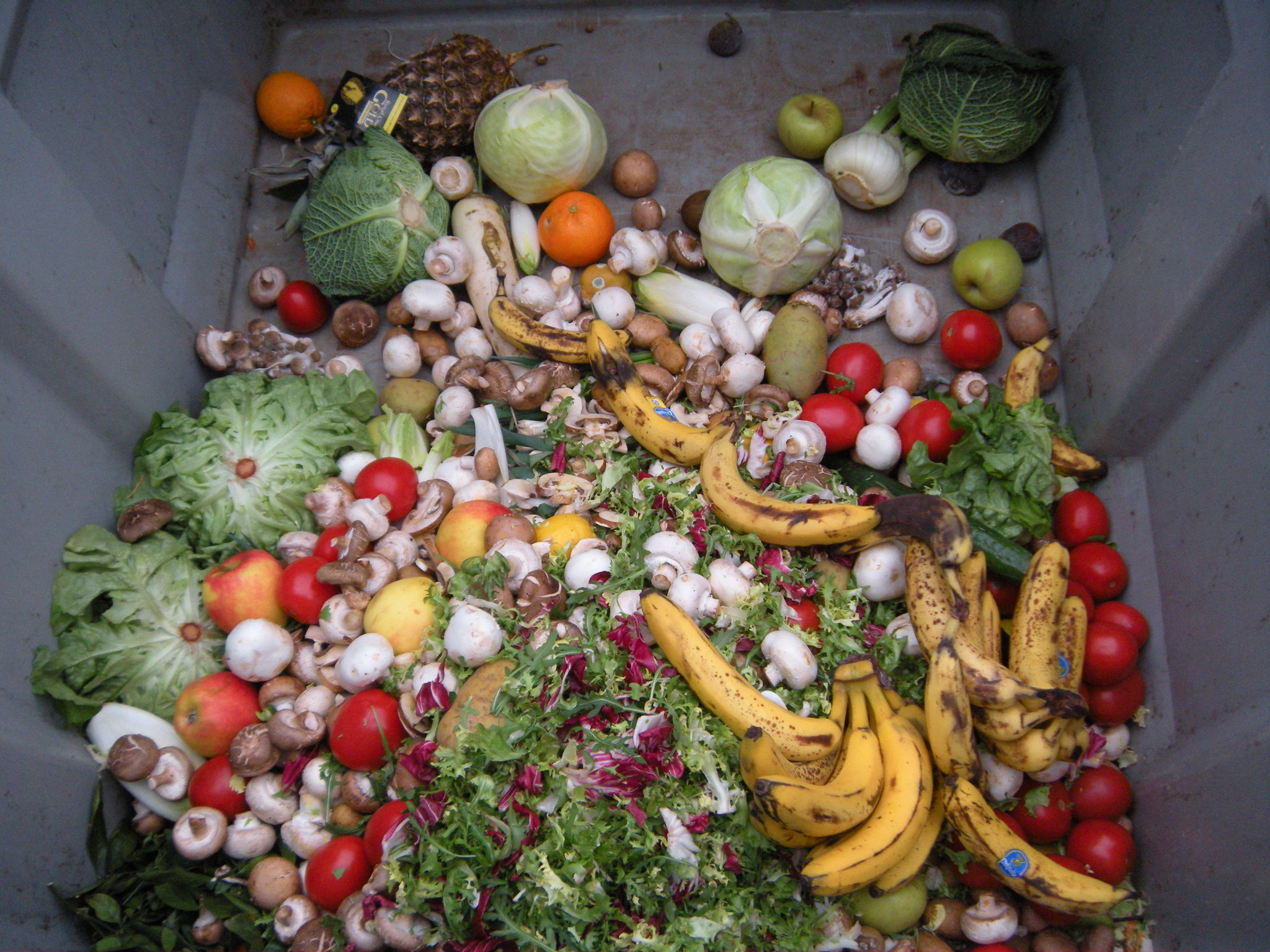 AFCCC prioritising reduction of food waste remains important concern
