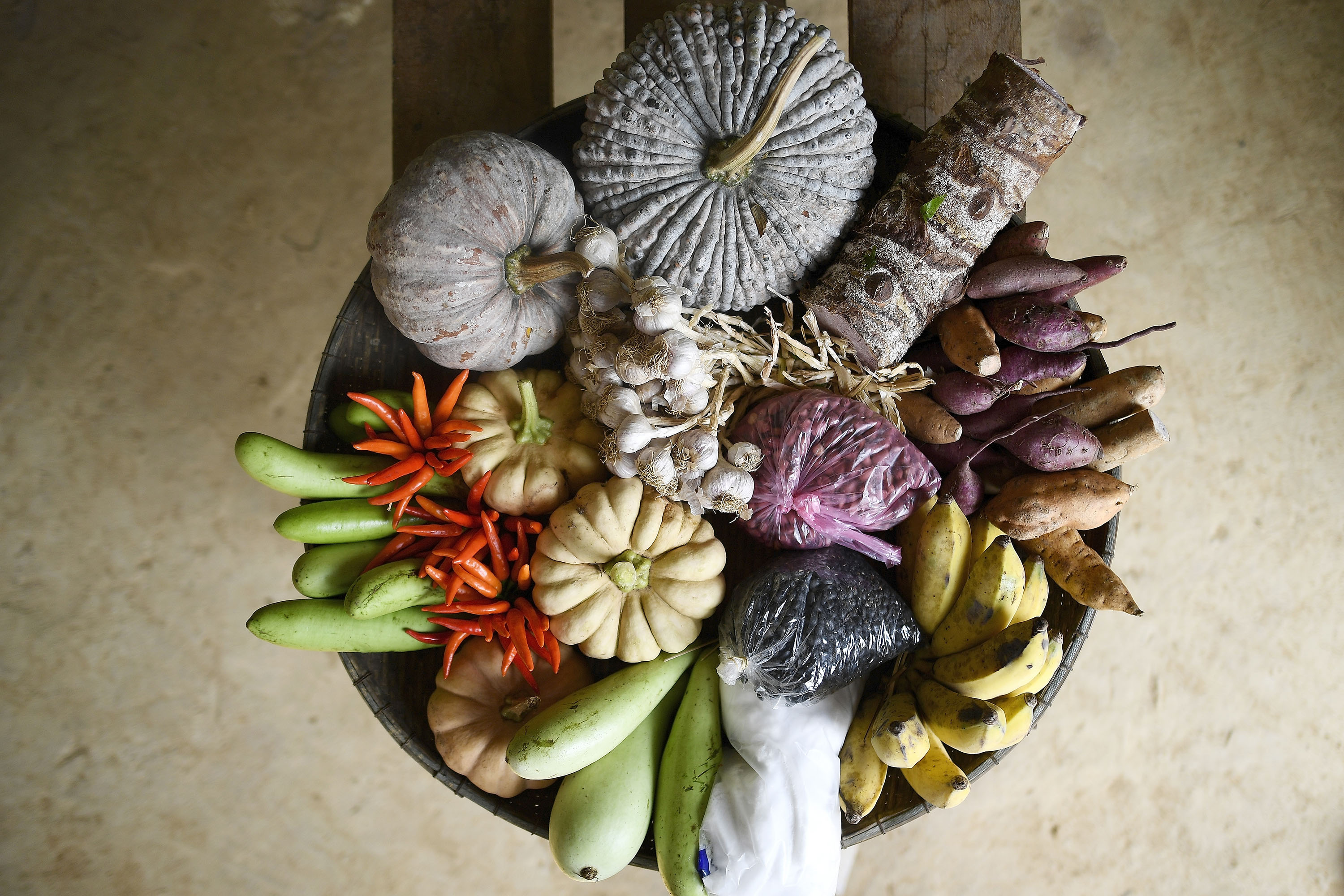 FAO launches new portal for statistics on food and diet