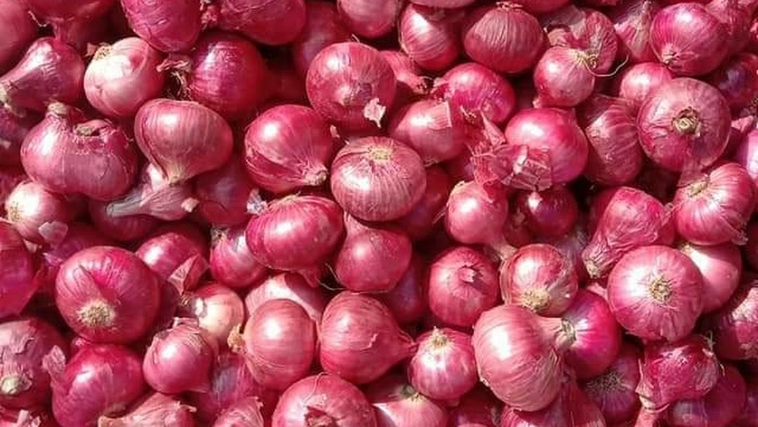 Onion price global problem not limited to Saudi market: FSC