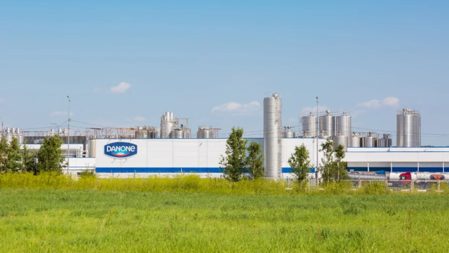 Russia removes Danone from state control assets