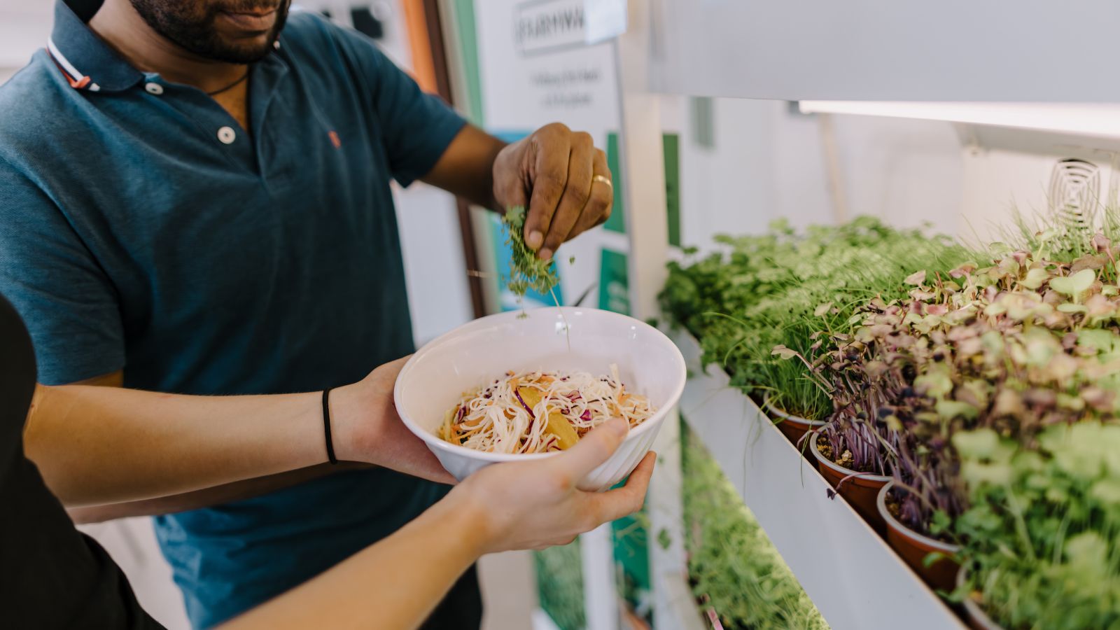 Concept of edible campus takes place in Australia