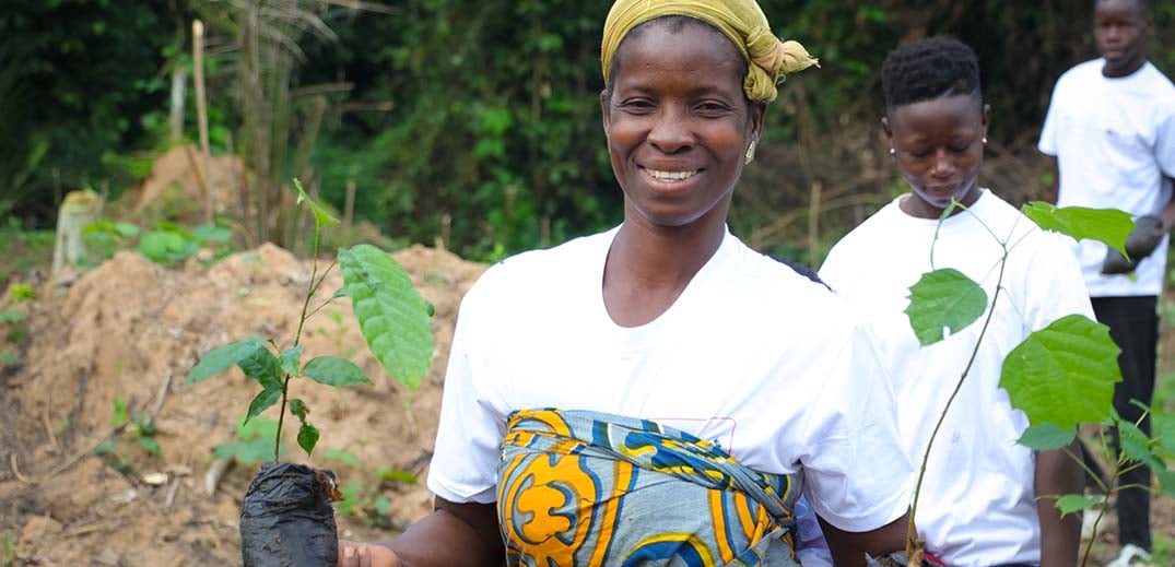Nestlé collaborates with suppliers to address climate change impact on cocoa