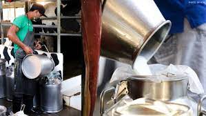 Philippine plans measures to boost local dairy milk production