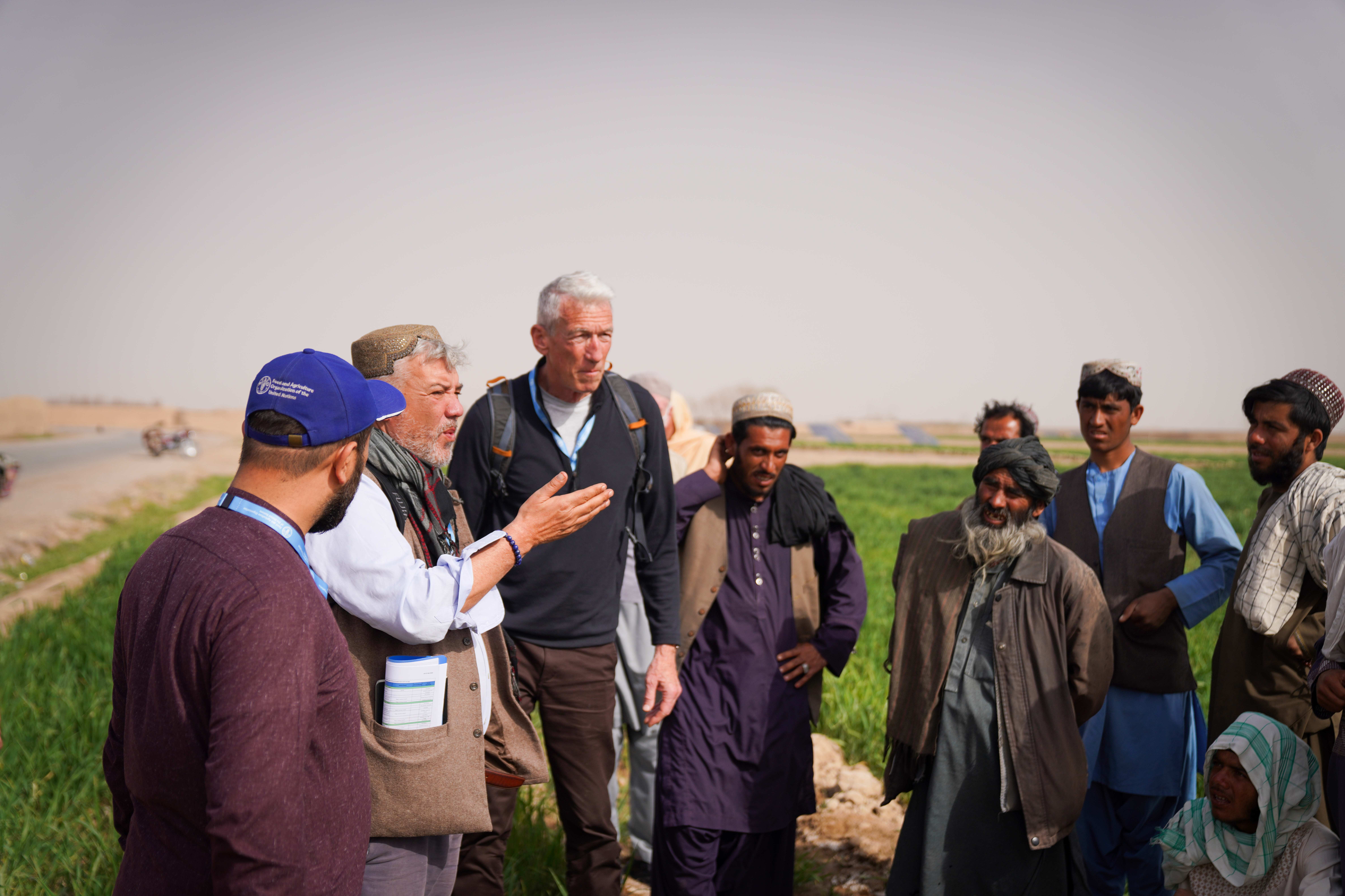 Food security situation in Afghanistan improving but the crisis far from over