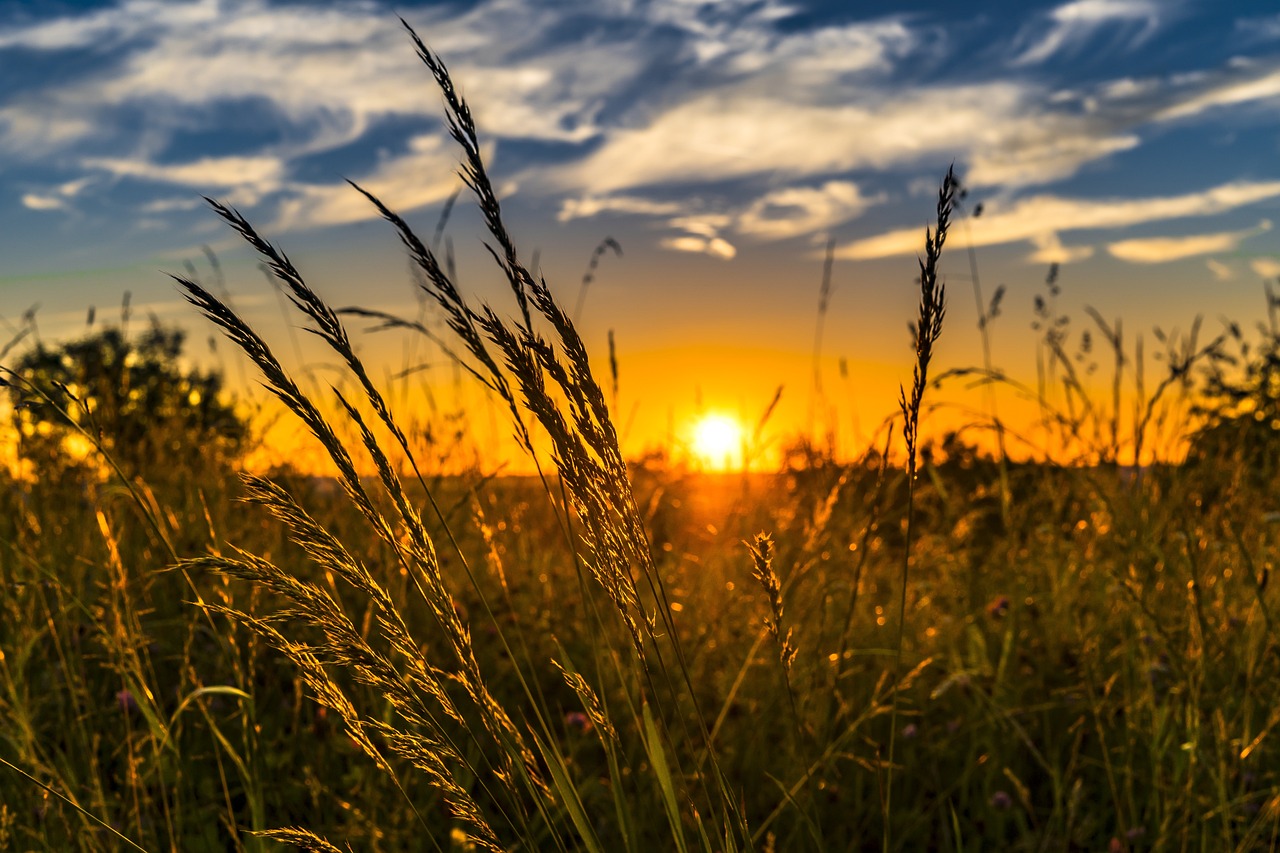 Food Frontier report urges Australian government action to food systems