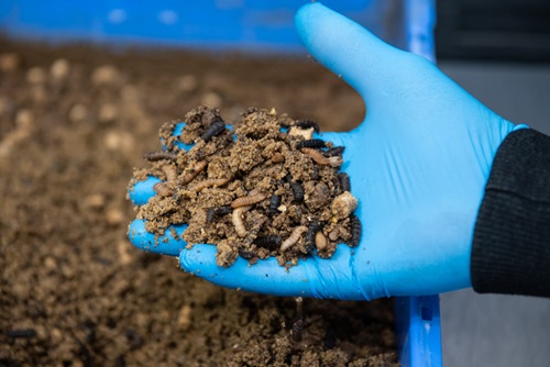 Australia’s CSIRO invests $20 million to drive SME innovation