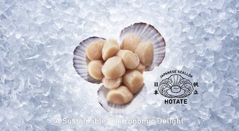 Japan to expand export of scallops