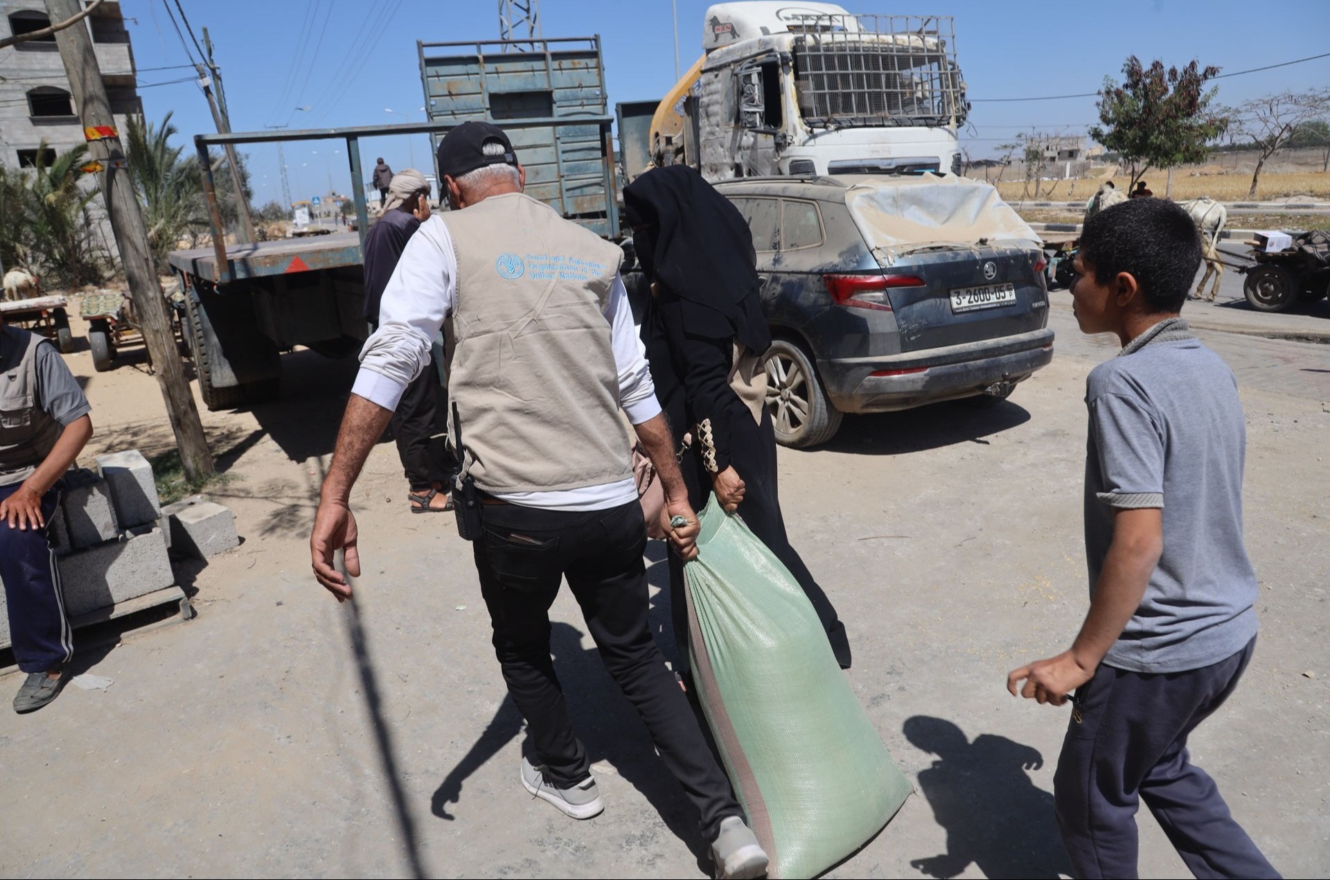 FAO contributes to fighting malnutrition and starvation in Gaza