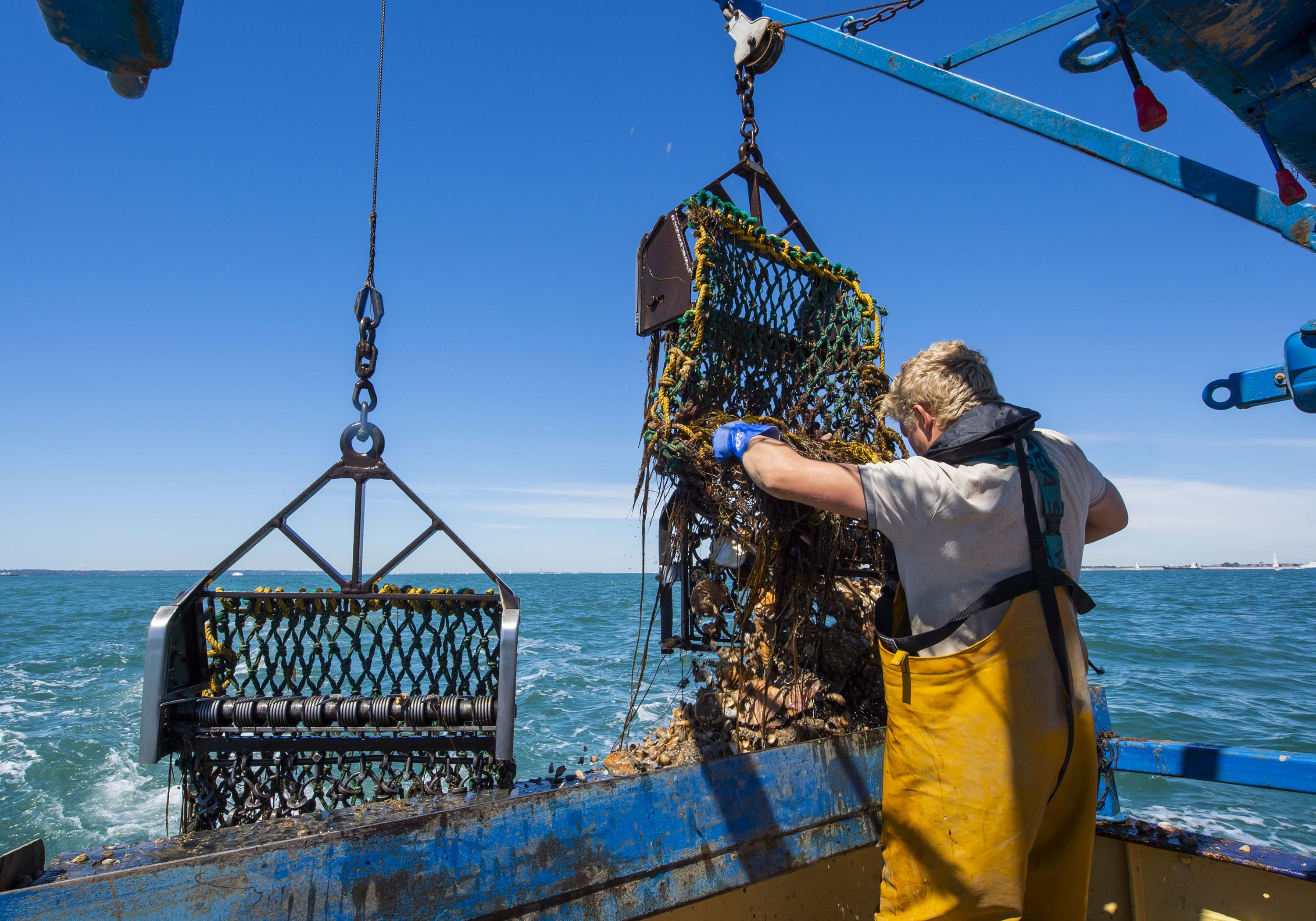 Seafish develops seafood carbon emissions profiling tool