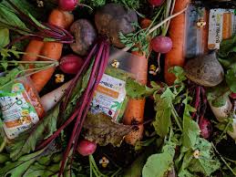 Bumblebee Food partners with farms in Dubai