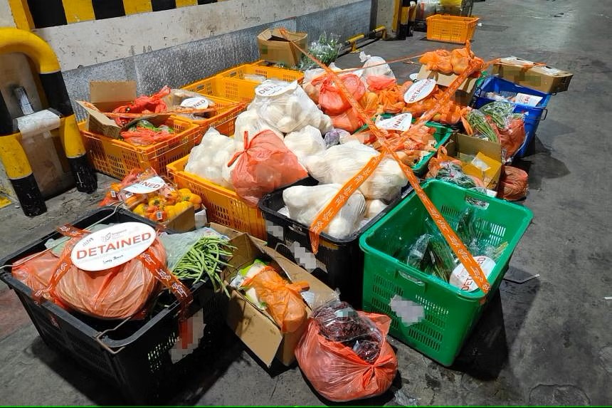 SFA seizes 1.6 tonnes of illegally imported vegetables from Malaysia