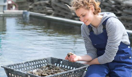 Primerdesign launches real-time PCR kit for onsite detection of norovirus in oysters
