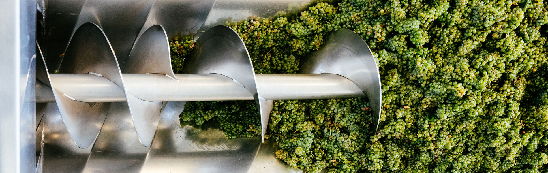 Australia’s winegrape crush up by 9%