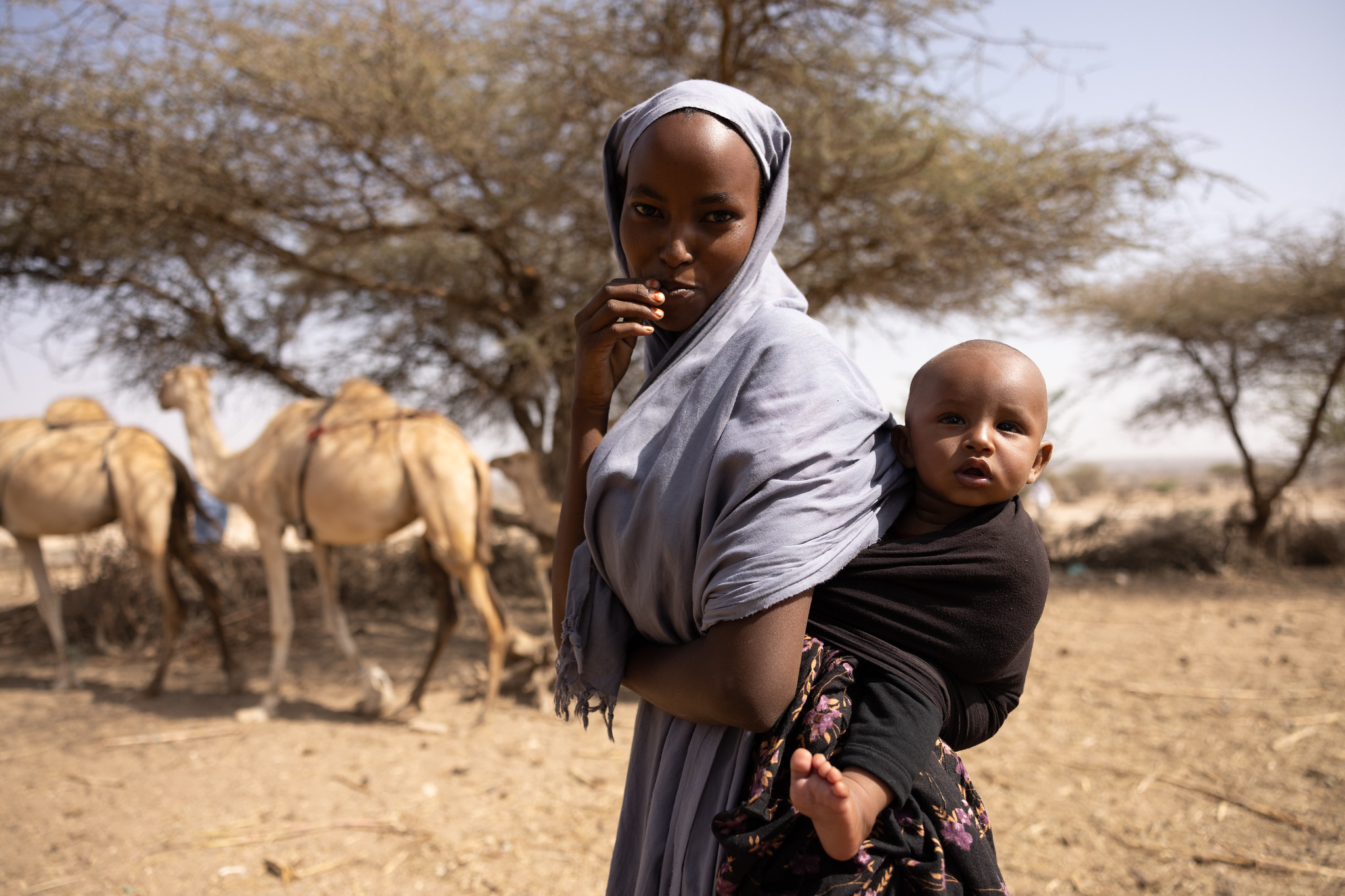 FAO and EU sign 47 million euro programme to enhance food security in Eastern Africa