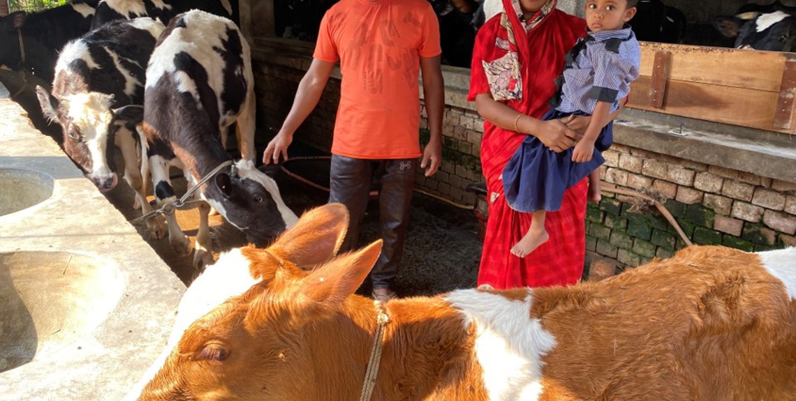 Danish dairy expertise drives green initiative in Bangladesh