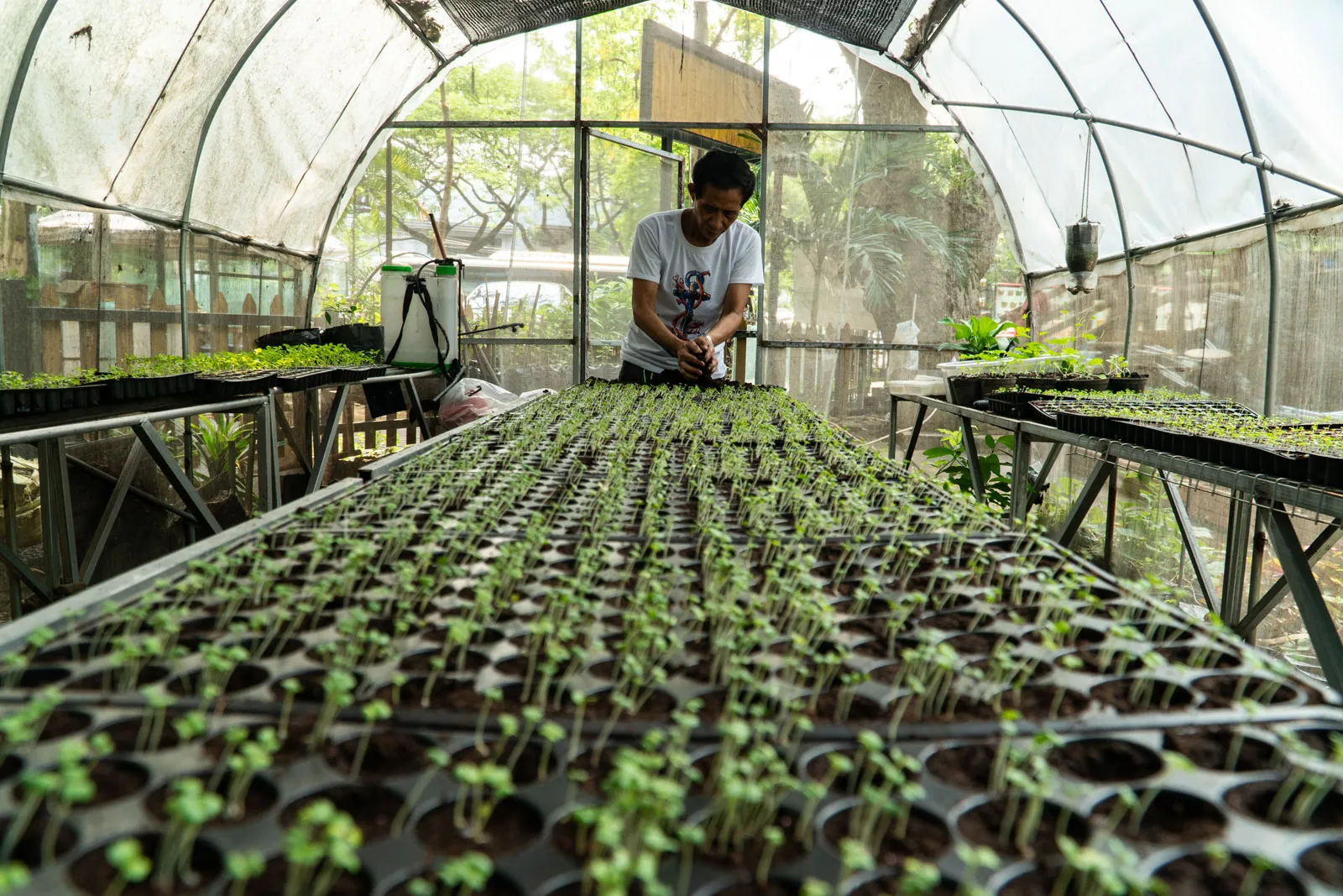 UAE and Japan sign MoU for food security