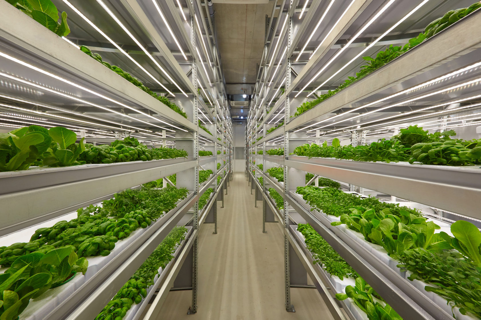IFarm to develope robotic vertical farm in Switzerland