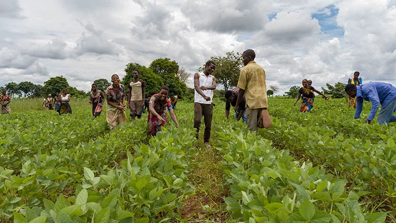 MSU, CANR partner with African Food Security