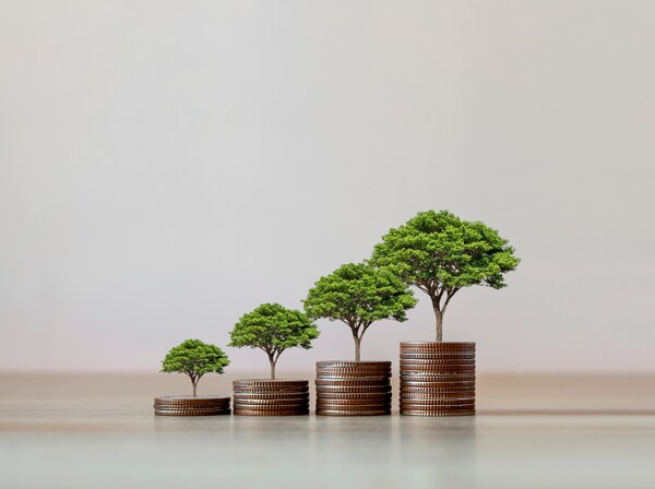 Musim Mas signs sustainability-linked loan with Rabobank and HSBC Bank 