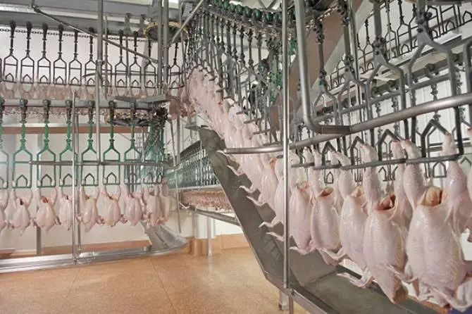 China approves three Thai chicken export factories