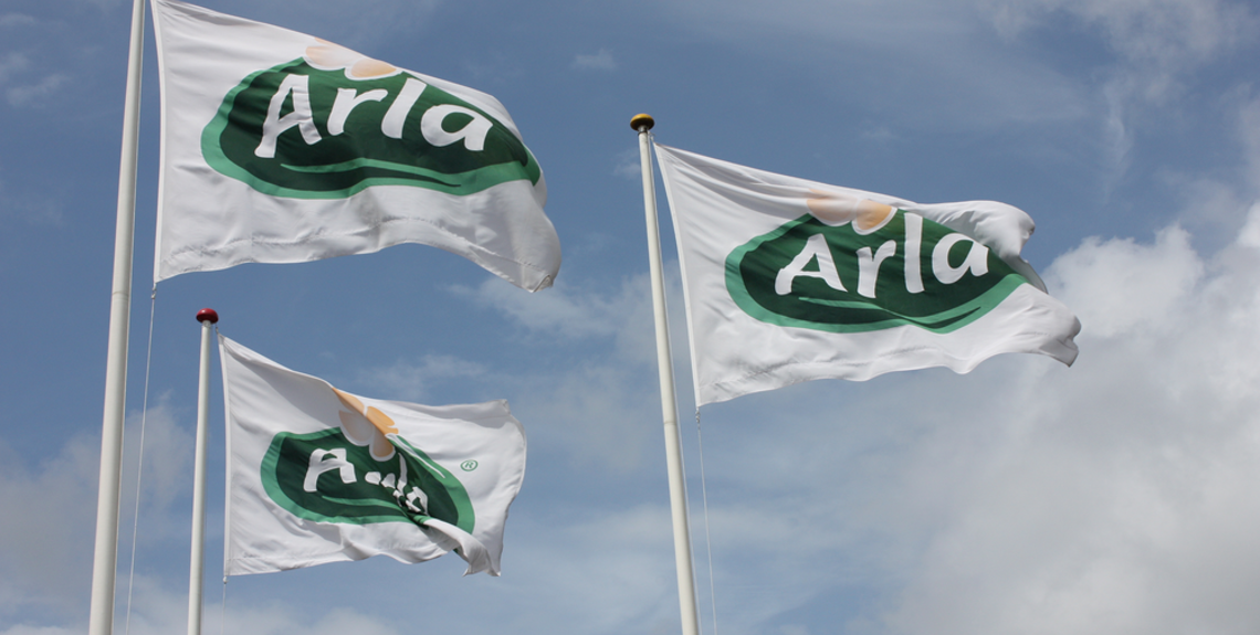 Arla Foods bids for food and beverage company in Egypt