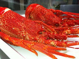 China to resume imports of Australian rock lobster