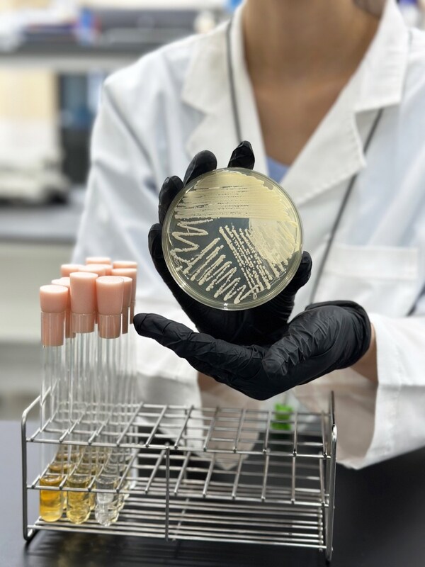 Pureture achieves breakthrough in plant-based protein