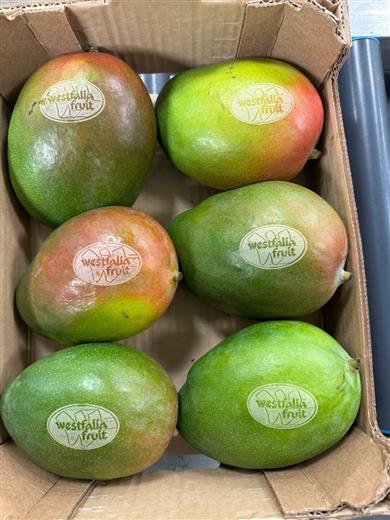 Westfalia Fruit introduces laser etching on mangoes in Netherlands