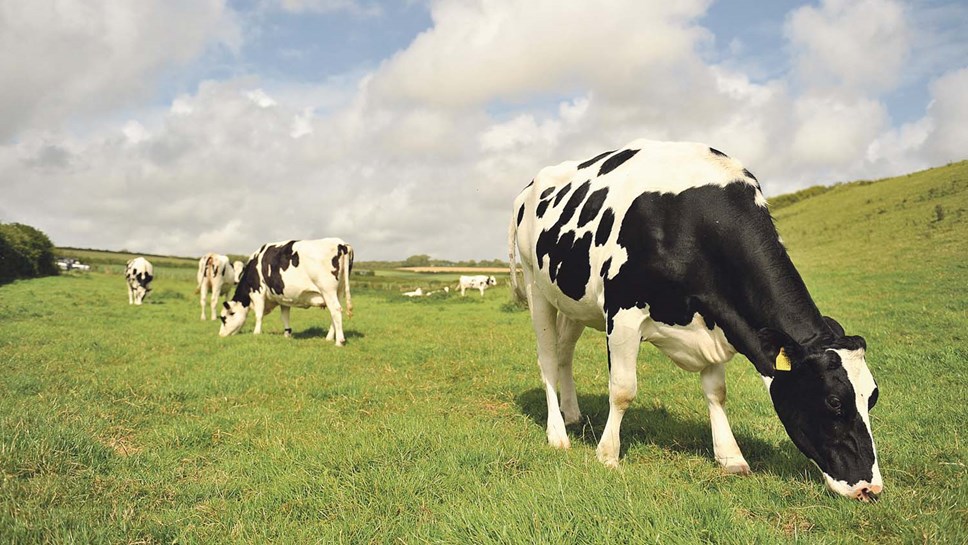 Tesco and Arla join forces to transform dairy industry