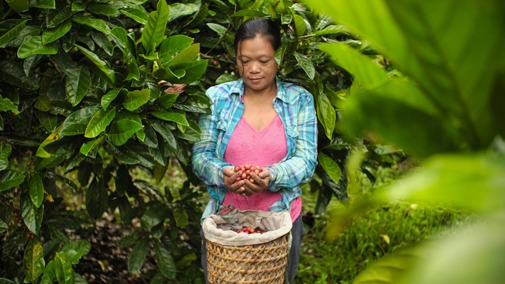 ADB, ECOM sign $100 Mn loan to enhance coffee value chain in APAC