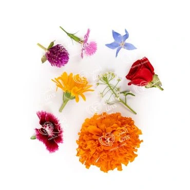 UAE’s UNS Farms introduces new edible flower range