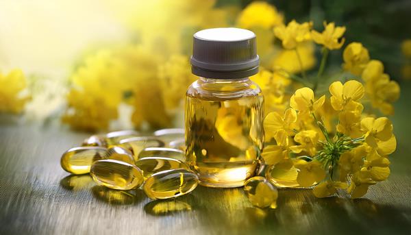 Nutriterra Total Omega-3 receives Health Canada approval as plant-based dietary supplement